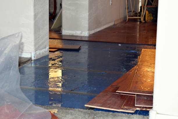 Professional Structural Drying And Dehumidification technician working in New London, IA